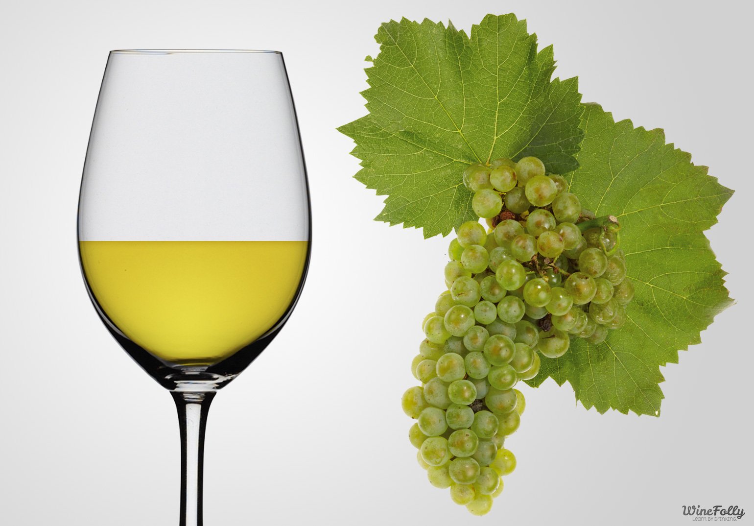 House wines Red, Chardonnay, Sauvignon Blanc by the glass